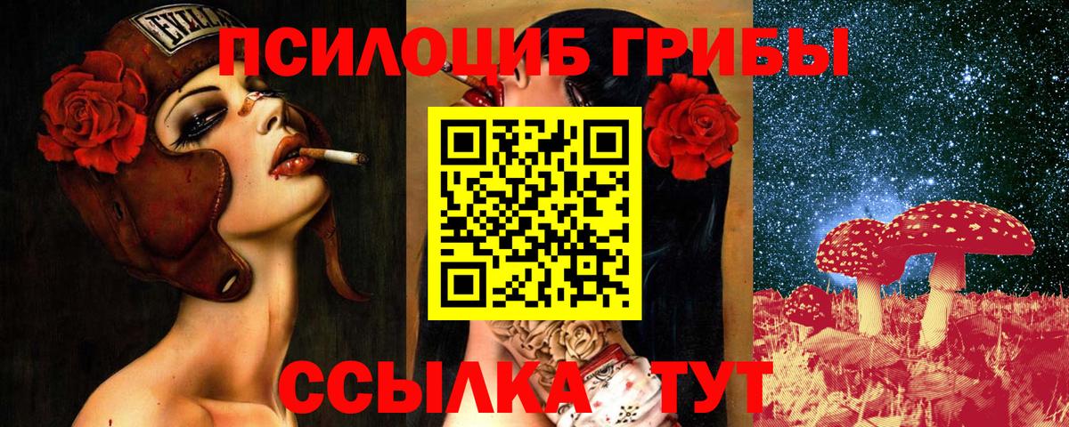 Галлюциногенные грибы GOLDEN TEACHER Гулькевичи